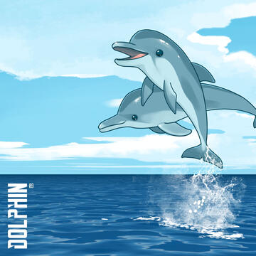 Dolphin 2019 • Single